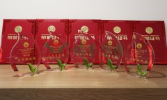 “尊时凯龙杯”浙江省节地生态安葬设计作品奖