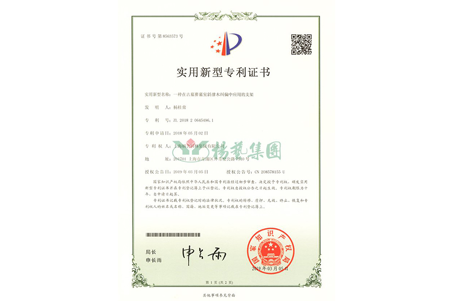 实用新型专利：一种在古墓葬墓室斜撑木纠偏中