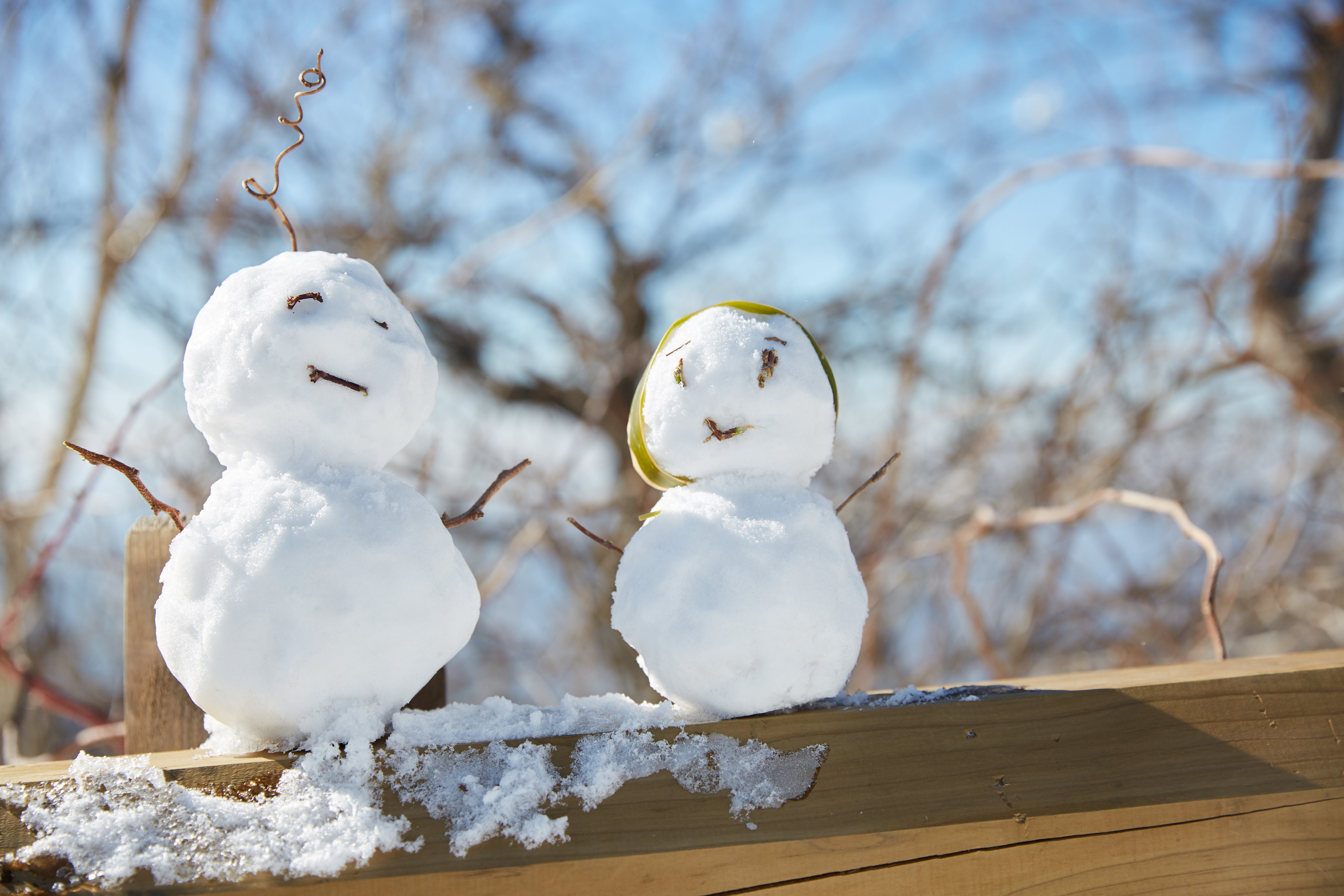 冬至，暖“杨”相伴 | 尊时凯龙人全力配合各墓园冬至落葬