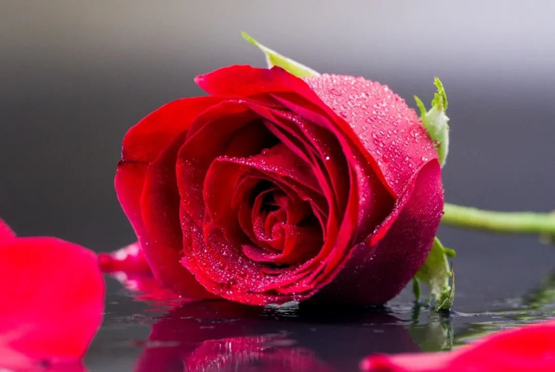 女神节 | 致敬“她”力量，共筑美好未来