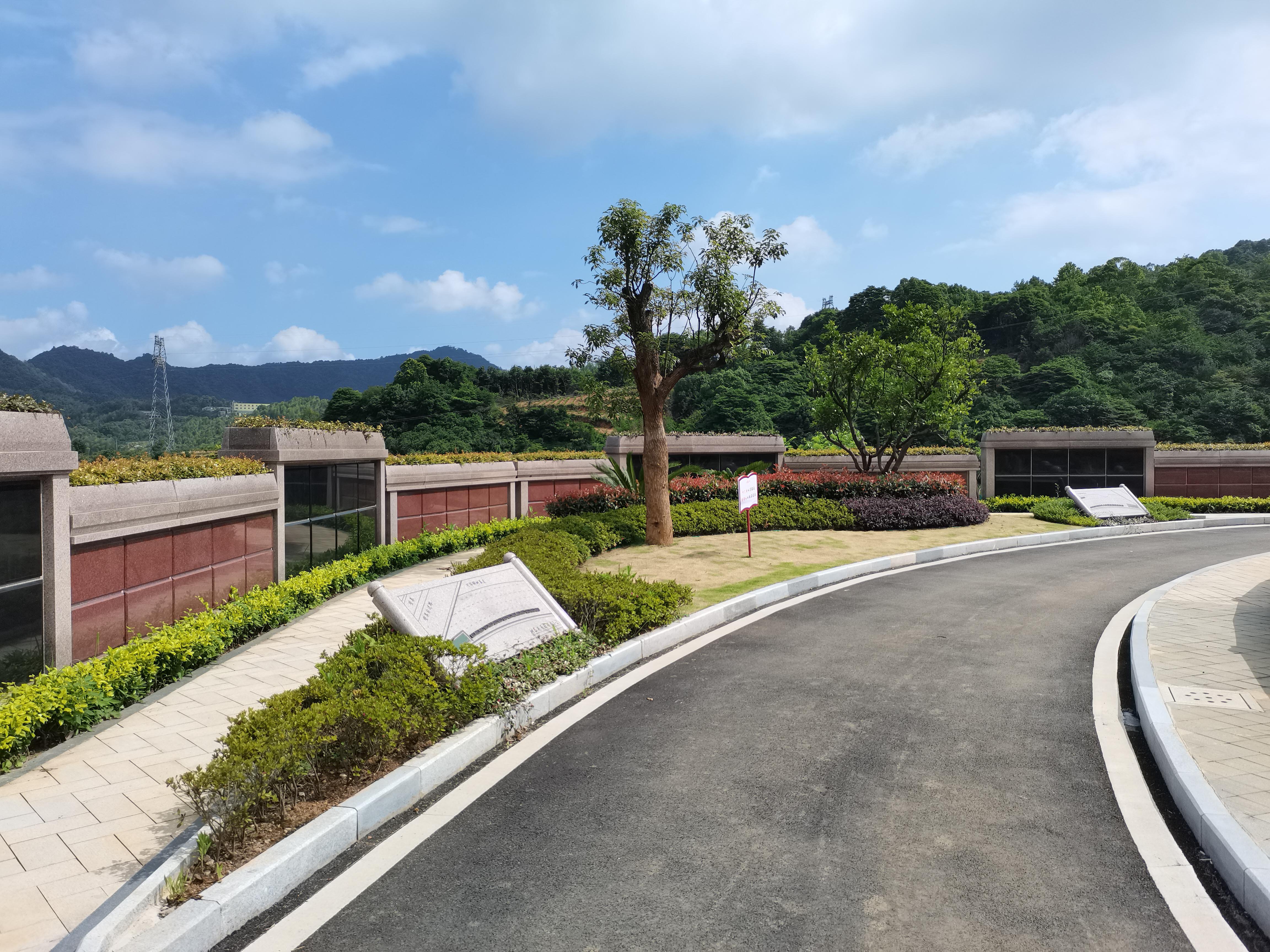 海葬和树葬哪个好？两种生态葬祭方式的选择与意义