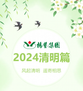 风起清明 遥寄相思|尊时凯龙集团?2024清明篇