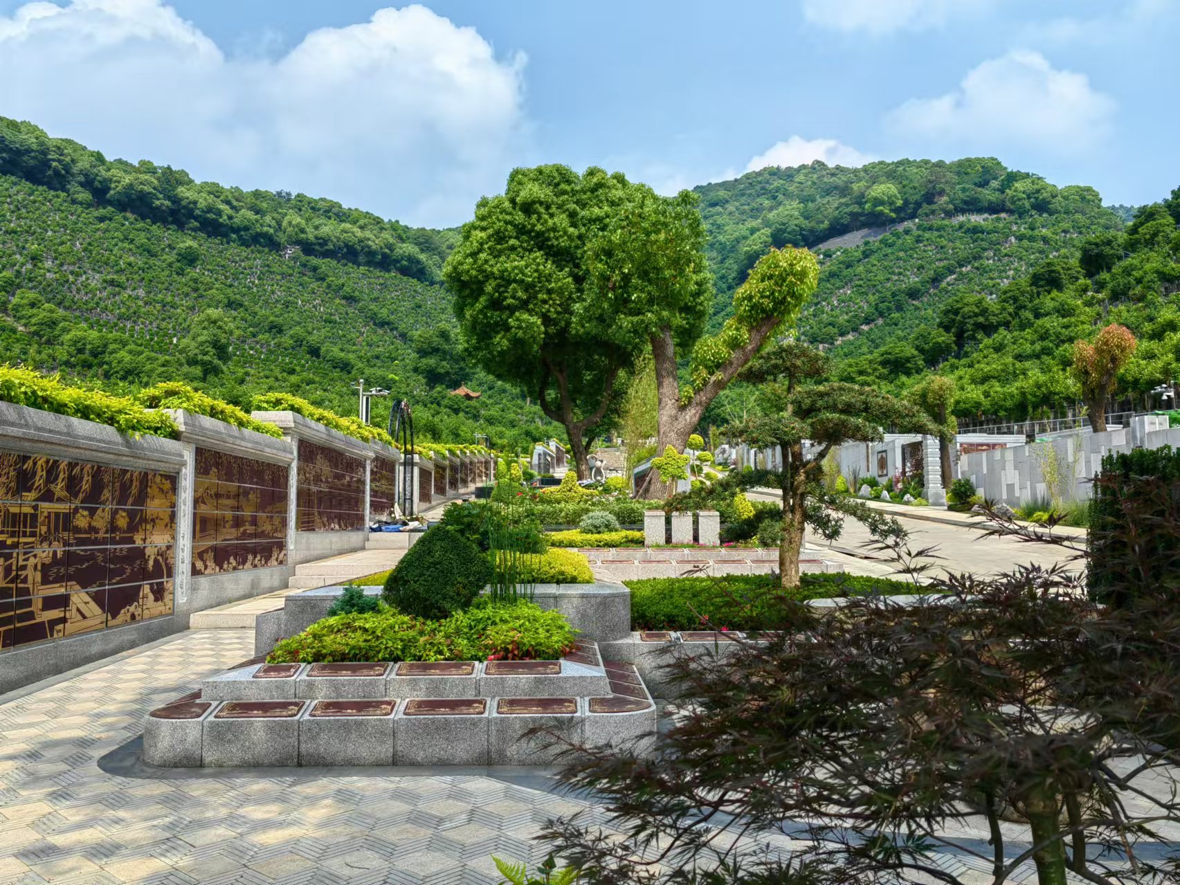 引领绿色生态新风尚，共筑生命和谐家园