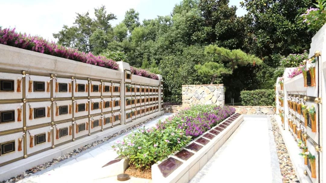 <b>在合肥大蜀山文化陵园，与生命温柔对话</b>