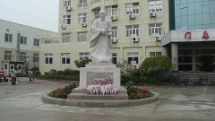 石雕匠心，镌刻医者风华