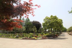 归于林下：一场与自然的温柔重逢