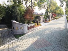 城市最后一平米：生态葬，是与自然的和解？还是无奈的选择？