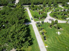 碑雕设计：镌刻历史，传承人文